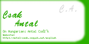 csak antal business card